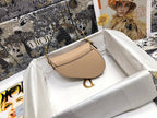 Dior Saddle Small Nude Color 21x18x5 cm