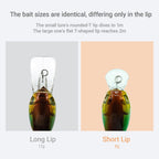 Stonefish Deep Diving Crankbait, Sinking Lure Bait, Bass Trout Fishing Lure, Saltwater Lures, Funny Fishing Lures, Fishing Tackle