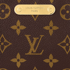 LV Liv Pochette Bag